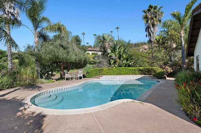 outdoor pool with a patio