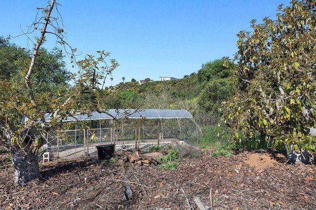view of yard with an outdoor structure
