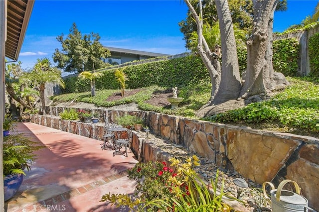 view of home's community with a patio area
