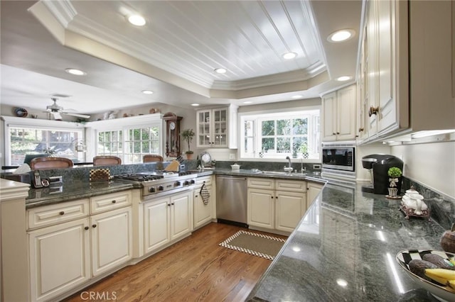 kitchen with a raised ceiling, crown molding, a healthy amount of sunlight, and stainless steel appliances