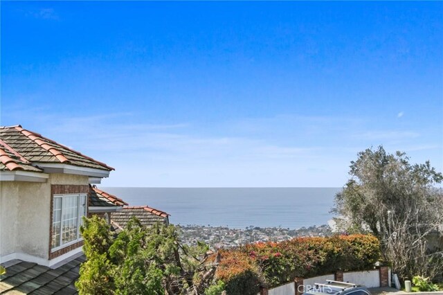 property view of water