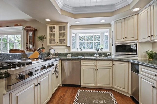 kitchen featuring a raised ceiling, plenty of natural light, crown molding, and appliances with stainless steel finishes