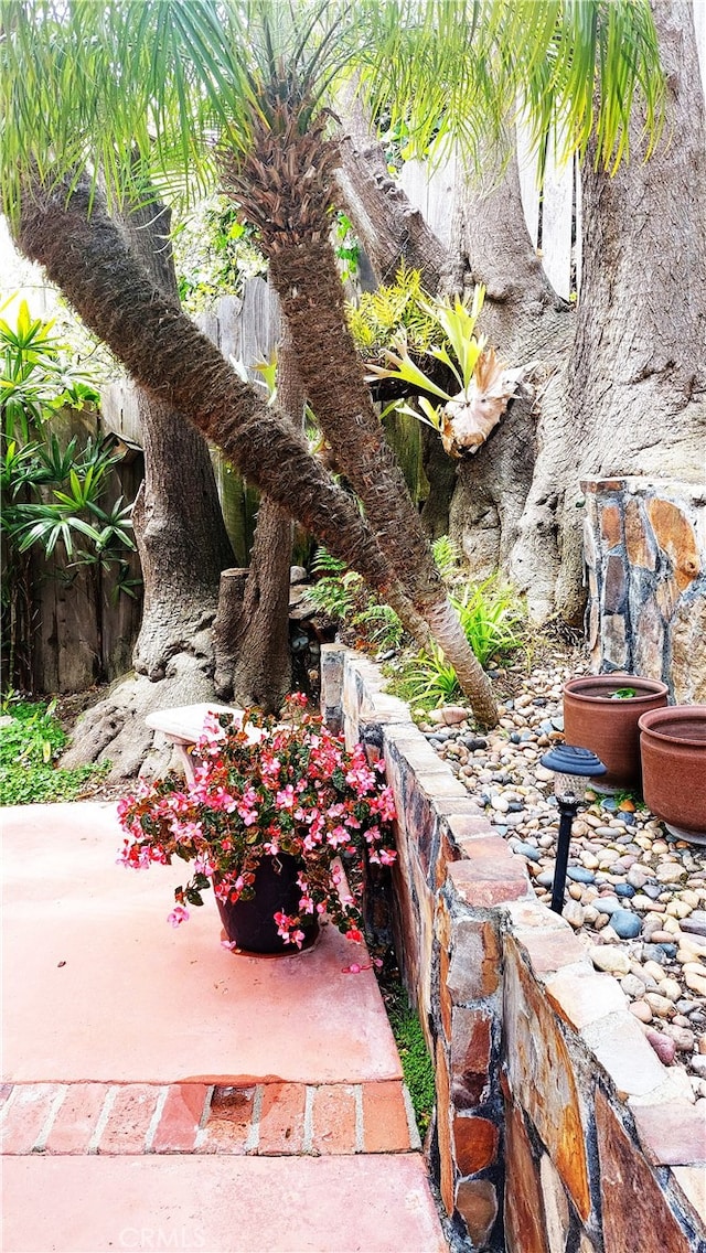 1803 La Cima, San Clemente, CA 92672 - view of yard
