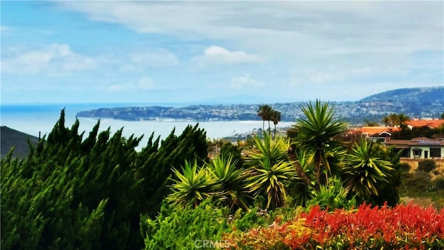1803 La Cima, San Clemente, CA 92672 - mountain view with a large body of water