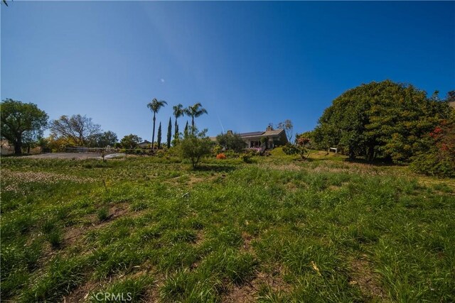 166 Alviso Dr, Camarillo, CA 93010 - view of yard
