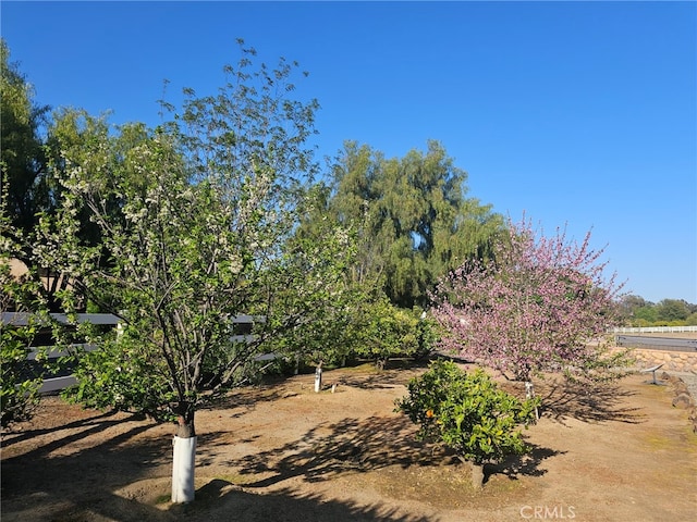 19315 Avenida Cordoba, Murrieta, CA 92562 - photo 60