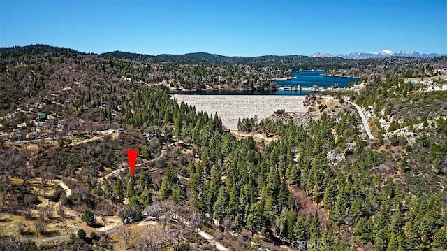 0 A Ln, Cedar Glen, CA 92321