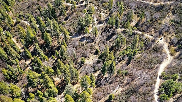 0 A Ln, Cedar Glen, CA 92321