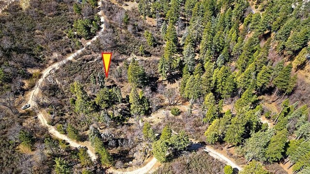 0 A Ln, Cedar Glen, CA 92321