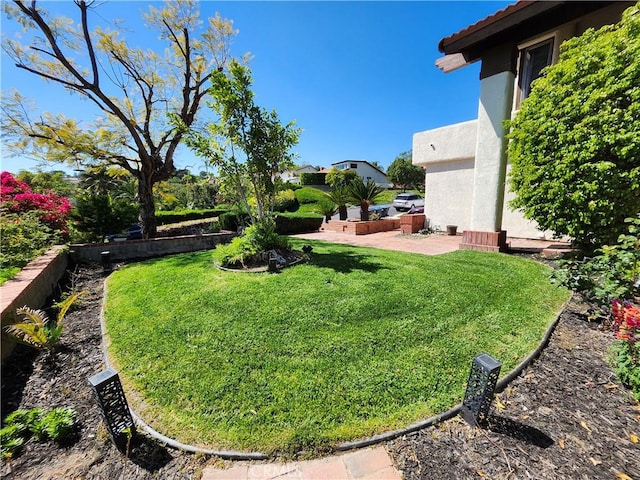 view of yard featuring a patio