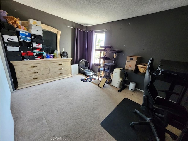 office area with a textured ceiling and carpet