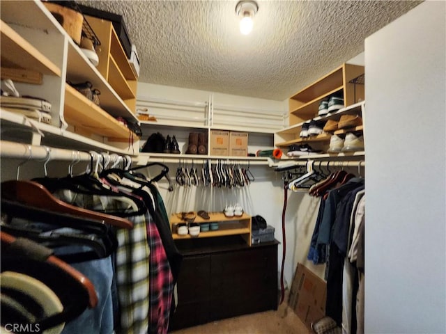 view of spacious closet