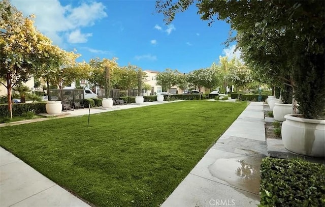 view of home's community featuring a yard and a residential view