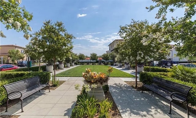 view of community with a yard
