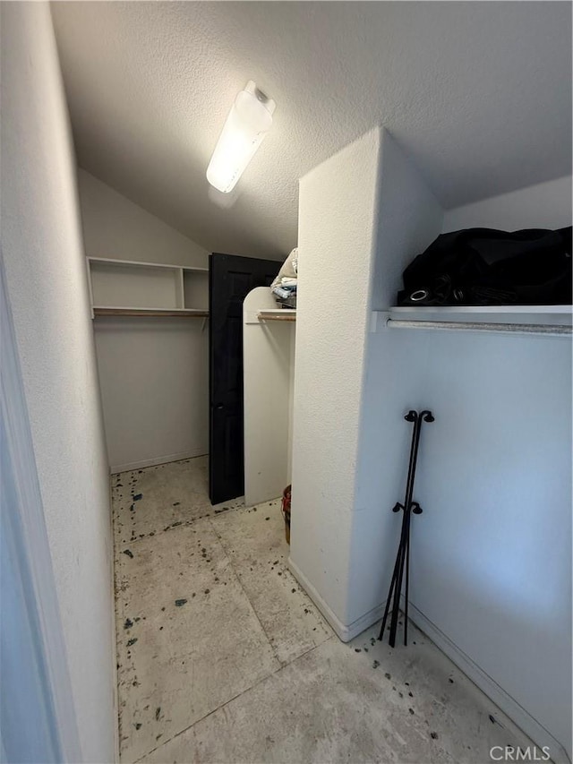 spacious closet with lofted ceiling