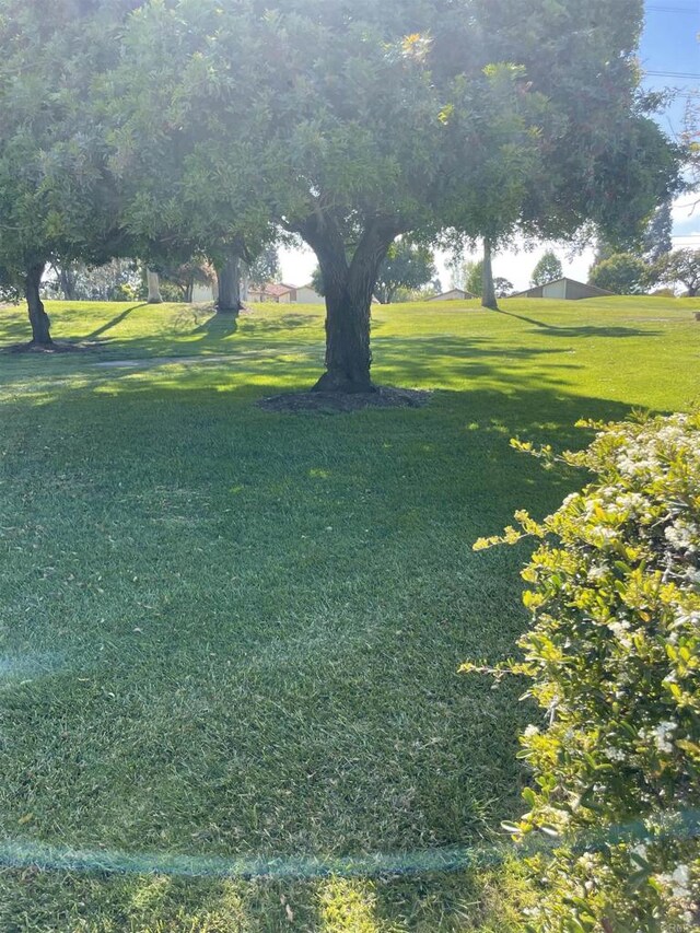 1726 Belle Meade Rd, Encinitas, CA 92024 - view of grassy yard
