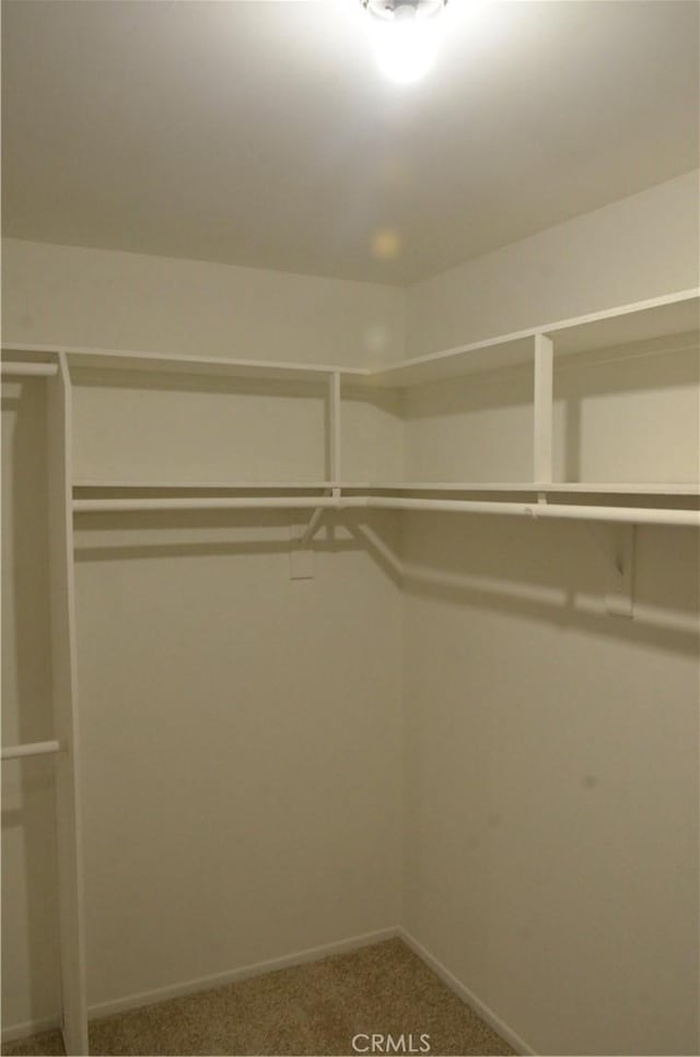 1111 S Coast Dr Unit 18, Costa Mesa, CA 92626 - walk in closet with carpet
