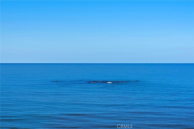 1001 Buena Vis Unit 2, San Clemente, CA 92672 - water view