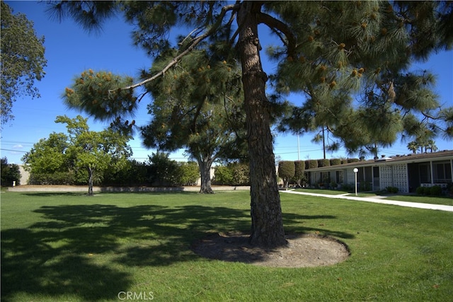 view of green lawn