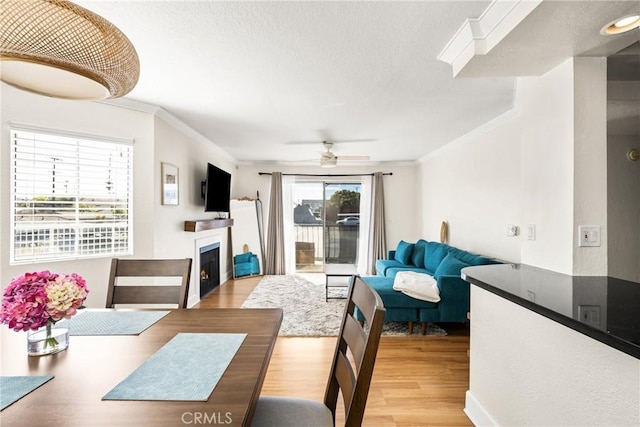1100 Euclid Ave Unit 103, Long Beach, CA 90804 - dining area with wood finished floors, a warm lit fireplace, ornamental molding, ceiling fan, and a textured ceiling