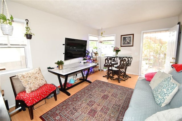 living room with wood finished floors