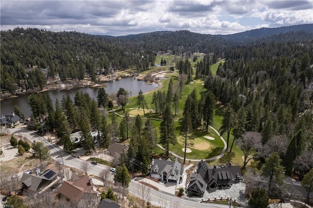 729 Brentwood Dr, Lake Arrowhead, CA 92352 - aerial view featuring a forest view and a water view