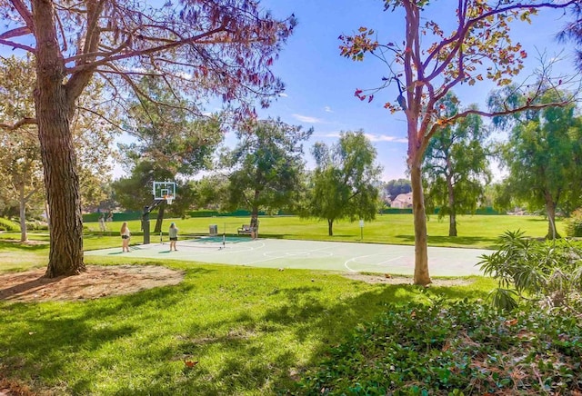 view of sport court featuring community basketball court and a yard
