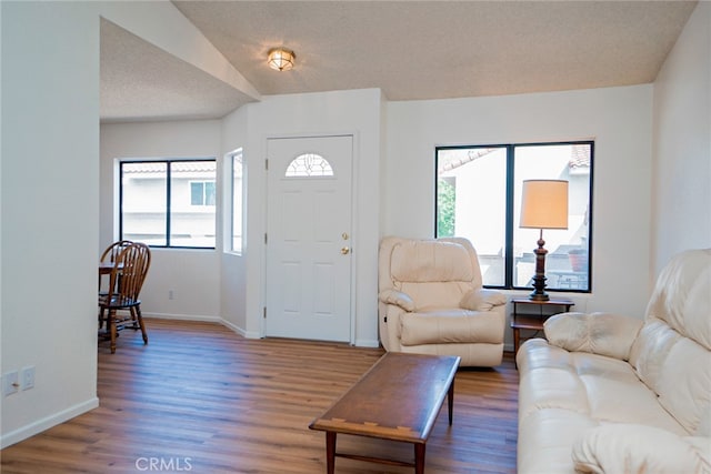 entrance foyer featuring wood finished floors and baseboards