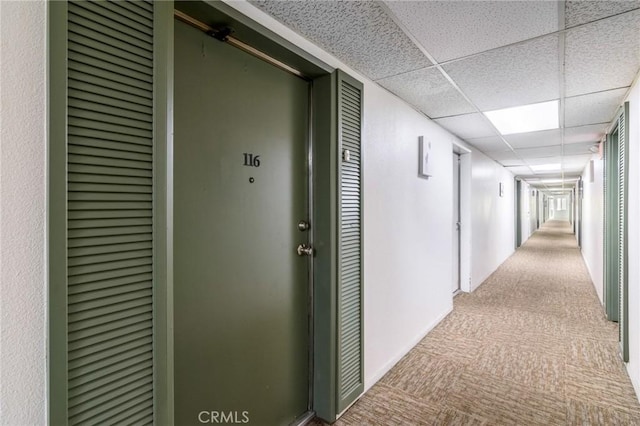 hall with carpet and a paneled ceiling