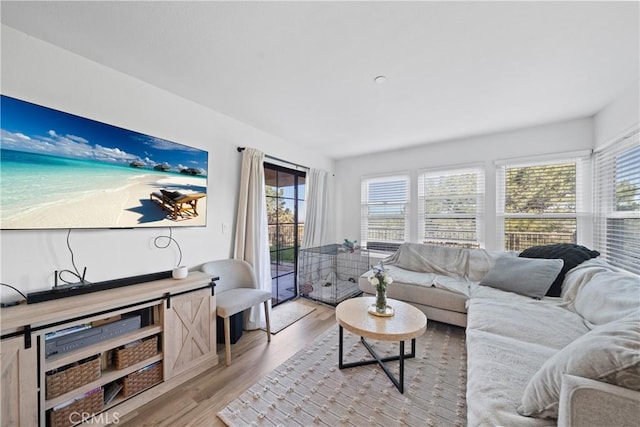 1040 Calle Del Cerro Unit 101, San Clemente, CA 92672 - living area with light wood-type flooring