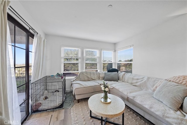 1040 Calle Del Cerro Unit 101, San Clemente, CA 92672 - living room with wood finished floors