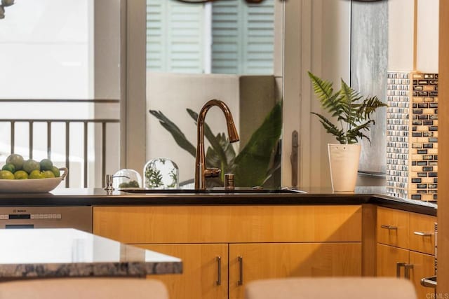 interior details with dishwasher and a sink