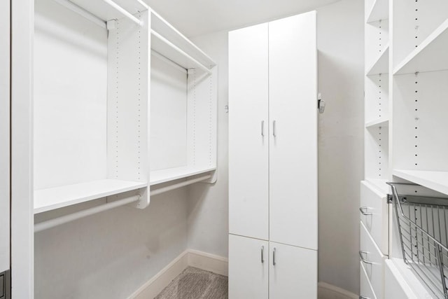 view of walk in closet