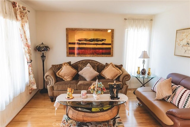 living area featuring wood finished floors