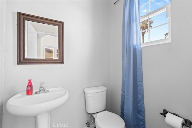 bathroom featuring a sink, toilet, and a shower with curtain