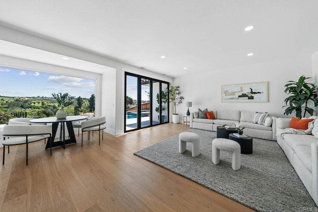 3792 Vista Pt, Bonita, CA 91902 - living area with recessed lighting and light wood-type flooring