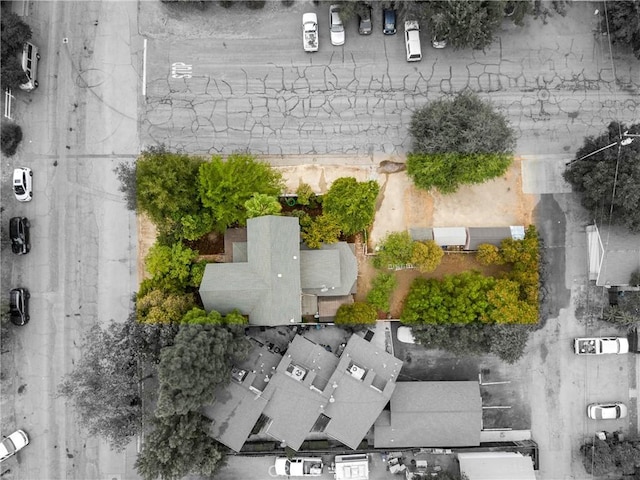 bird's eye view