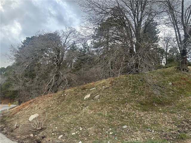 0 Torrey Rd, Cedar Glen, CA 92321