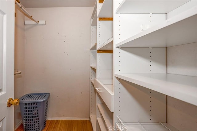 spacious closet featuring light wood-type flooring