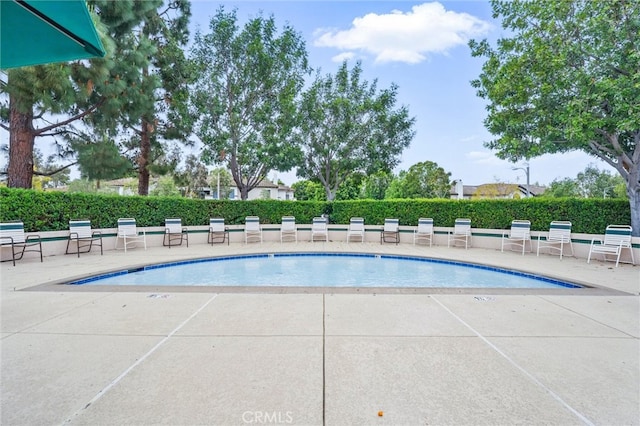 pool with a patio area