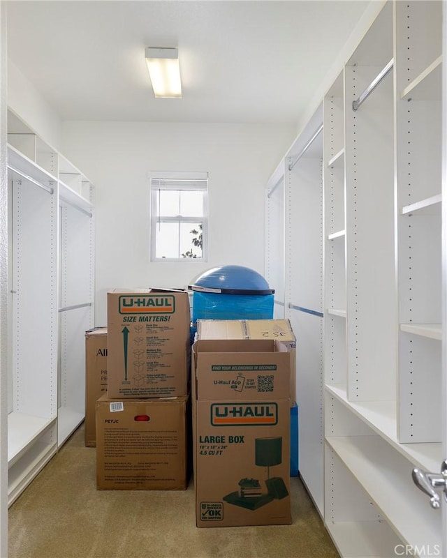 608 Chaparral Ct, Altadena, CA 91001 - spacious closet with carpet