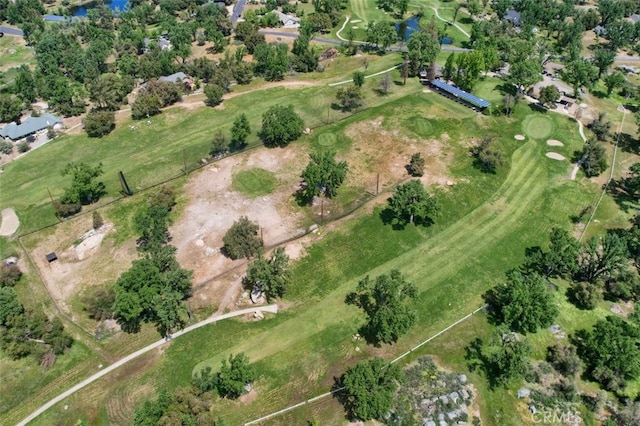 40957 Shandee Ln, Ahwahnee, CA 93601 - bird's eye view