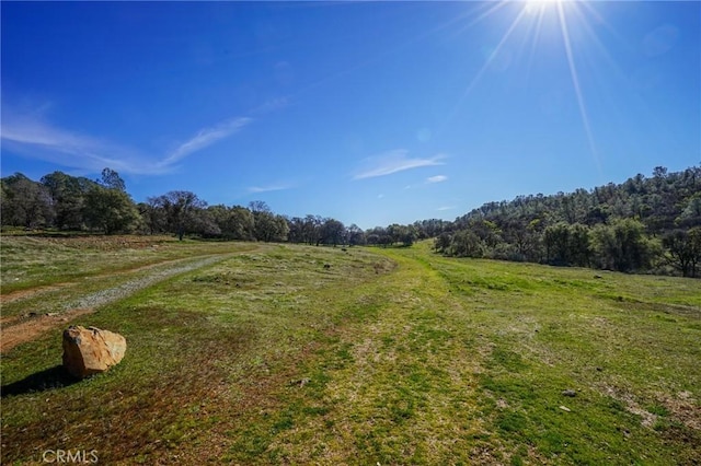 14134 Serpentine Farm Ln, Grass Valley, CA 95949 - exterior space with a wooded view and a rural view