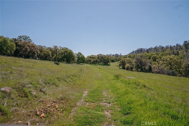 14134 Serpentine Farm Ln, Grass Valley, CA 95949 - view of nature featuring a rural view