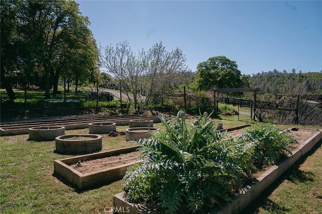14134 Serpentine Farm Ln, Grass Valley, CA 95949 - surrounding community featuring a yard and a vegetable garden