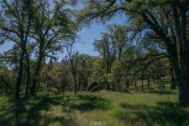 14134 Serpentine Farm Ln, Grass Valley, CA 95949 - view of landscape featuring a view of trees