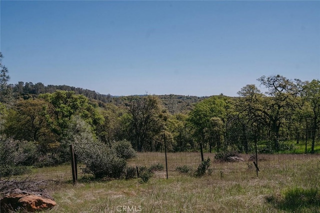 14134 Serpentine Farm Ln, Grass Valley, CA 95949 - view of nature featuring a view of trees