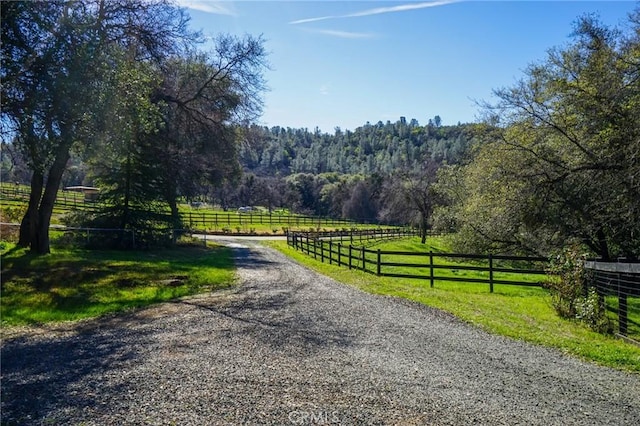 14134 Serpentine Farm Ln, Grass Valley, CA 95949 - view of street with a rural view and a wooded view