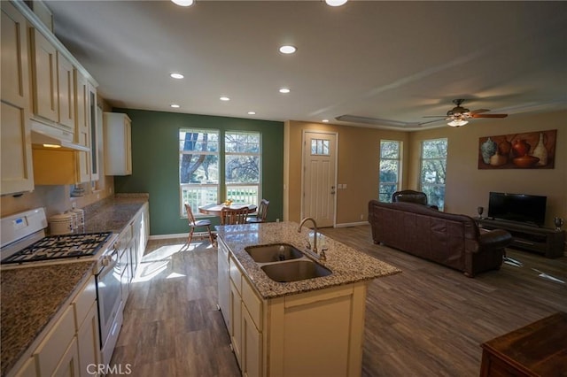 14134 Serpentine Farm Ln, Grass Valley, CA 95949 - kitchen with baseboards, a sink, white appliances, dark wood finished floors, and recessed lighting