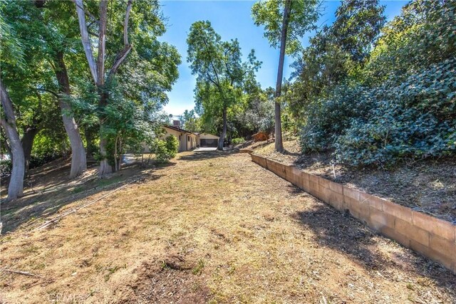 30993 Palo Alto Dr, Redlands, CA 92373 - view of yard